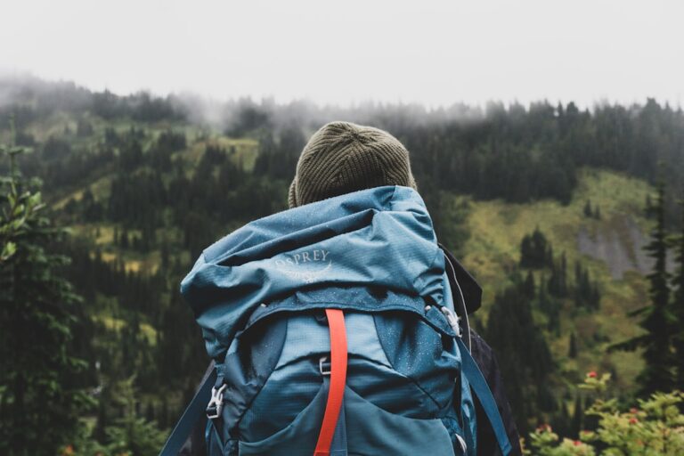 How to Choose the Right Backpack for Travel